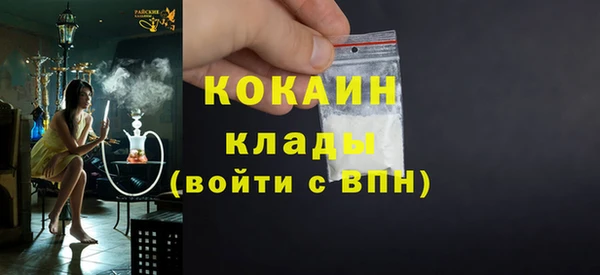 гидра Абаза