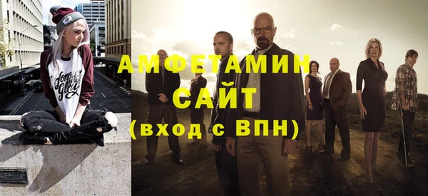 гидра Абаза
