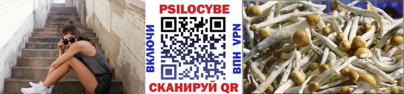 Галлюциногенные грибы GOLDEN TEACHER  Нижневартовск 
